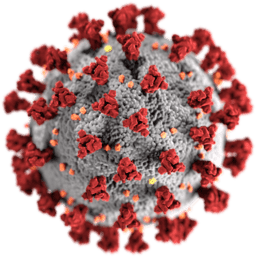 3D-Grafik des SARS-CoV-2-Virions