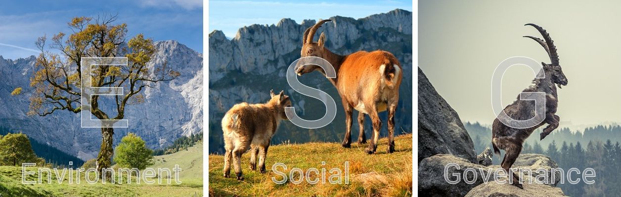 DrJungPartner-ESG-Kriterien